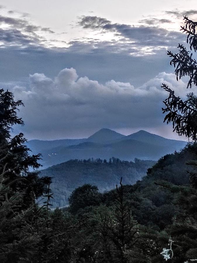 Chata Hvezdicka Litoměřice Dış mekan fotoğraf