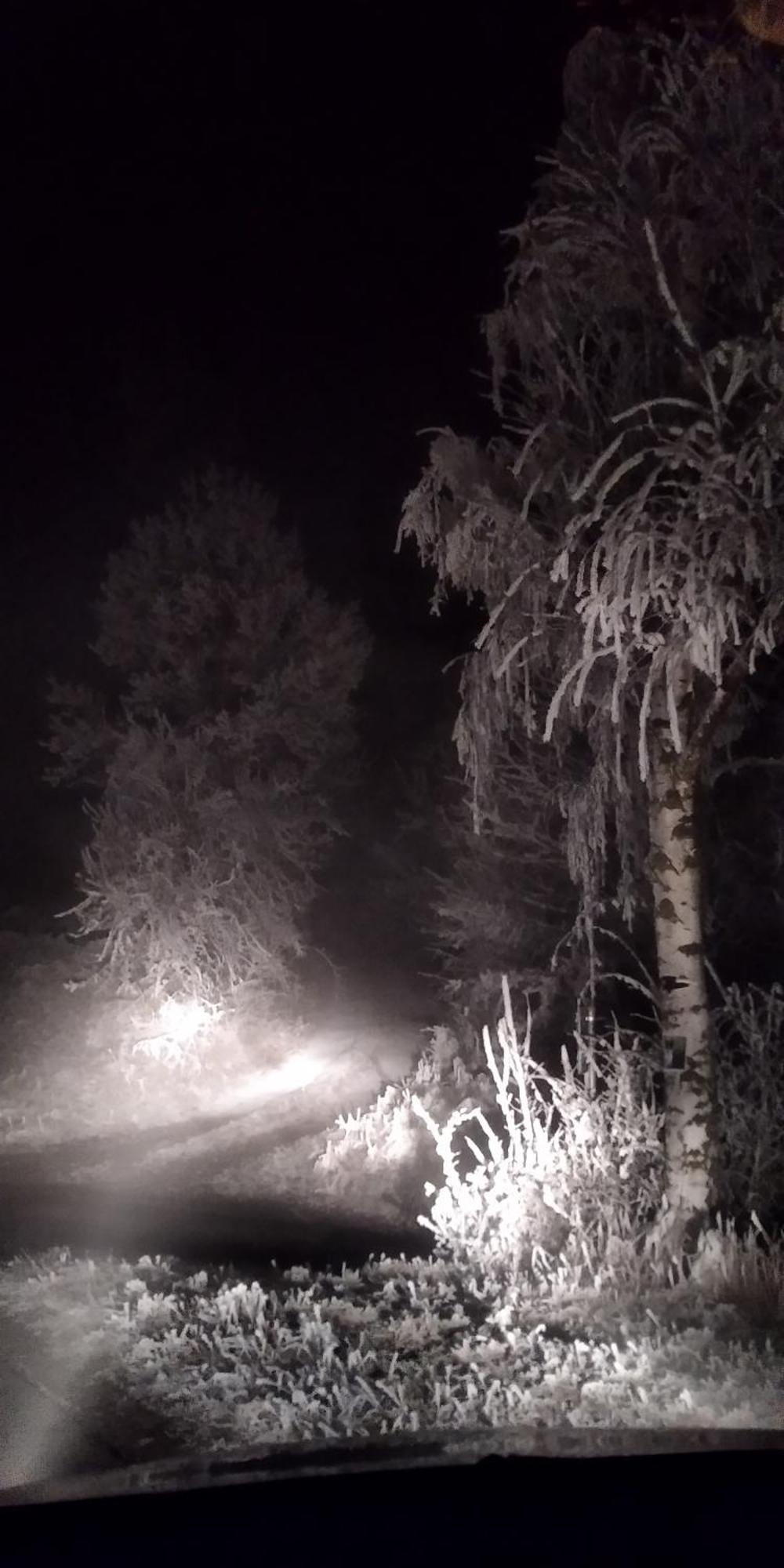 Chata Hvezdicka Litoměřice Dış mekan fotoğraf